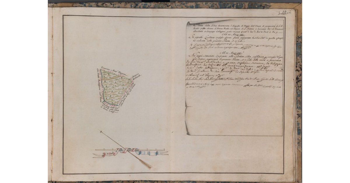 [Pianta della selva denominata l'Acquisto di Poggio dell'Overa di proprietà di S.A.R., posta nel Barco Reale]