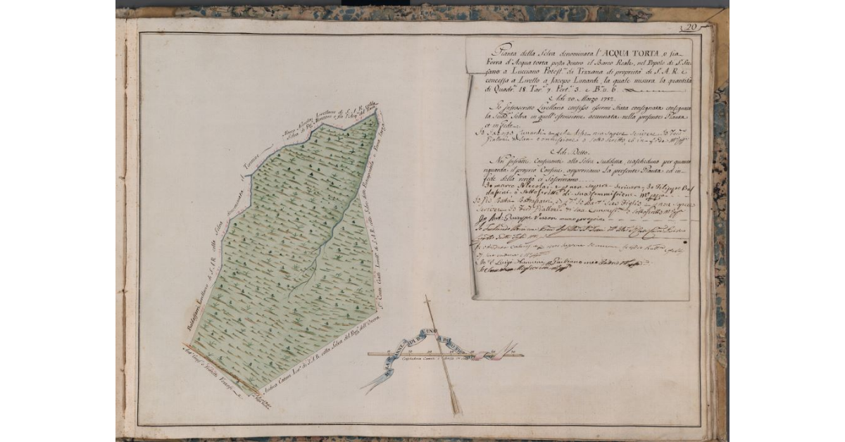 [Pianta della selva denominata l'Acqua Torta o Forra d'Acqua Torta di proprietà di S.A.R. posta nel Barco Reale]