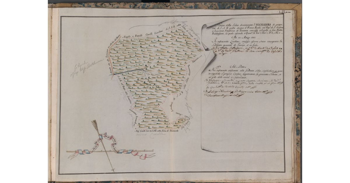 [Pianta della Selva denominata l'Uccelliera di proprietà di S.A.R. posta nel Barco Reale]