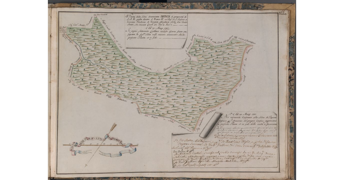 [Pianta della selva denominata Papinta di proprietà di S.A.R. posta nel Barco Reale]