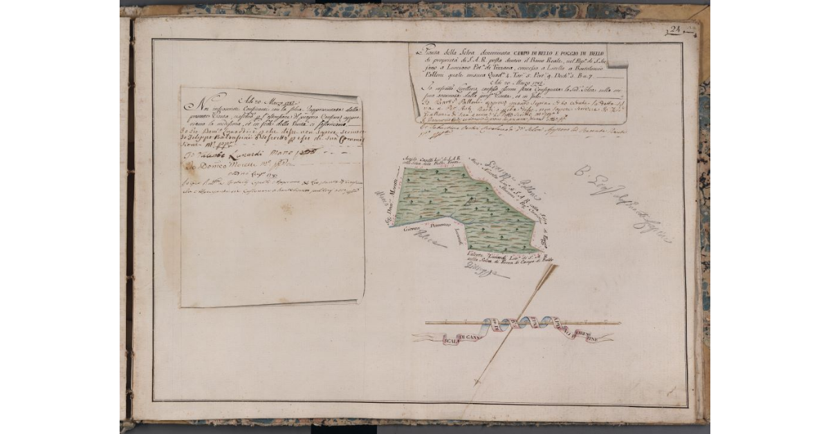 [Pianta della selva denominata Campo di Bello e Poggio di Bello di proprietà di S.A.R., posta nel Barco Reale]