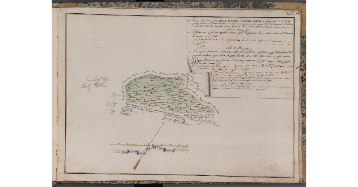 [Pianta della selva detta Poggio Monzoni e Poggio Carrioli di proprietà di S.A.R., posta nel Barco Reale]