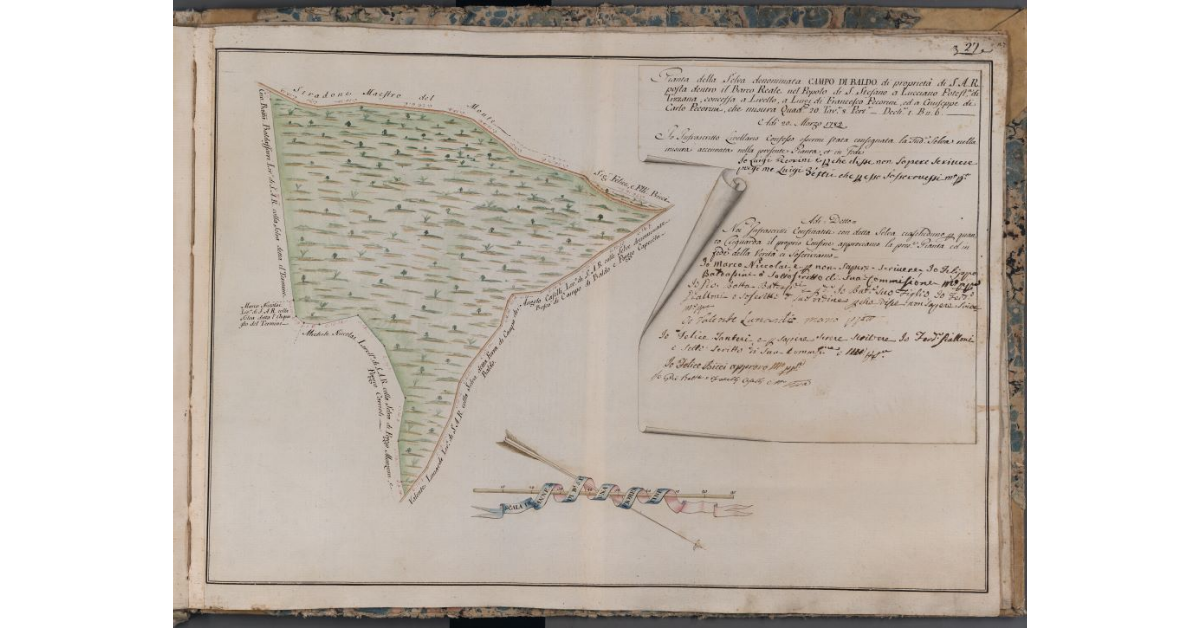 [Pianta della selva denominata Campo di Baldo di proprietà di S.A.R. posta nel Barco Reale]