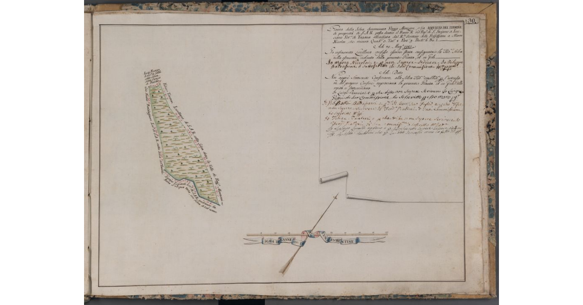 [Pianta della selva denominata Poggio Monzoni o Acquisto del Termine di proprietà di S.A.R. posta nel Barco Reale]