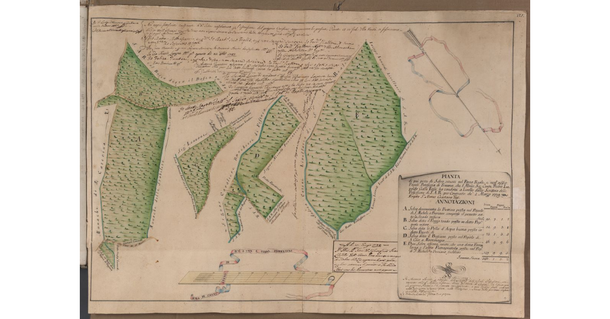 Pianta di più pezzi di Selva situati nel Parco Reale e negl'appresso Popoli, Potesteria di Tizzana, che l'Ill.mo Sig. Conte Pietro Leopoldo Galli Tassi, ha condotti a Livello dallo Scrittoio delle Possessioni di S.A.R. per contratto de' 4 Marzo 1779