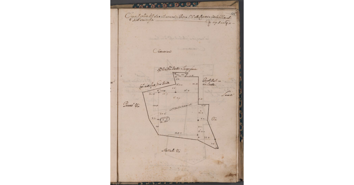 [Terreno di pertinenza del podere dell'Olmo]