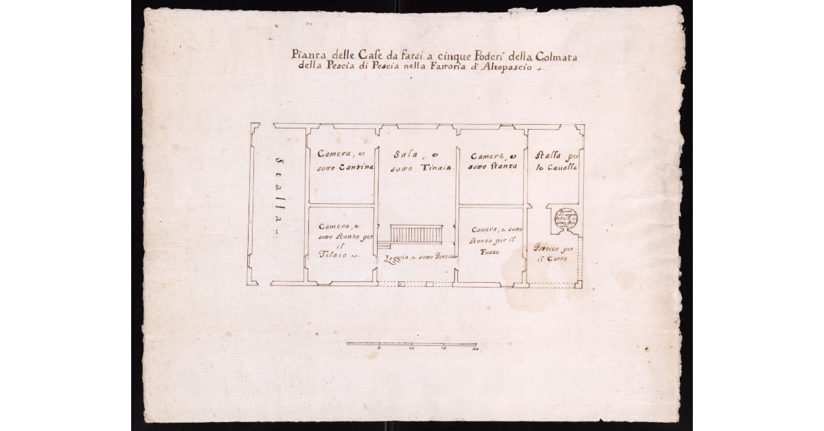 Pianta delle case da farsi a cinque poderi della colmata della Pescia di Pescia nella fattoria di Altopascio
