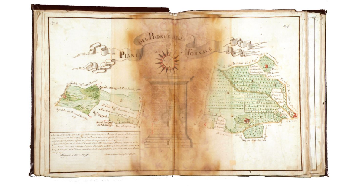 Pianta del Podere della Fornace ed altre terre diverse