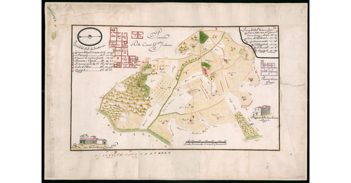 Pianta del Podere del Fondaccio. Pianta del Podere di Casa Pippi