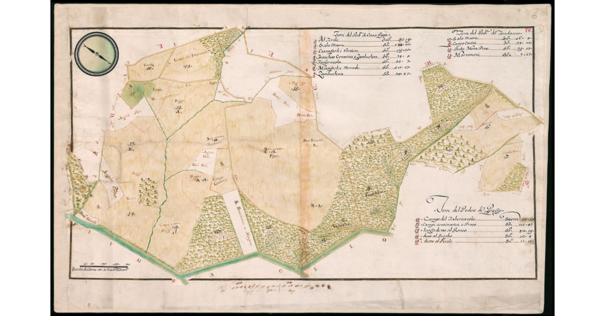 Terre del Podere di Casa Pippi. Terre del Podere del Fondaccio. Terre del Podere di Poggio