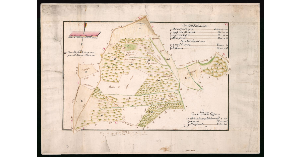 Terre del Podere di Casa Nuova poste all'Alberone. Terre del Podere della Torricella. Terre del Podere di Corte. Terre del Podere della Vergine