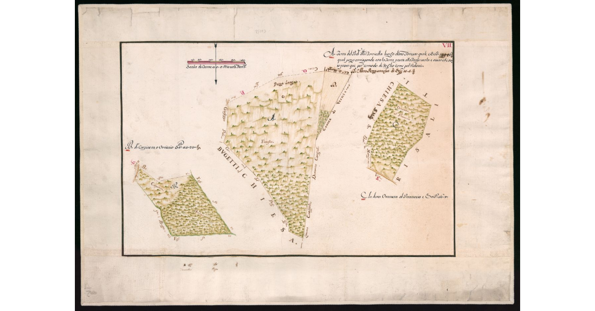 Terra del podere della Torricella luogo detto Foresto