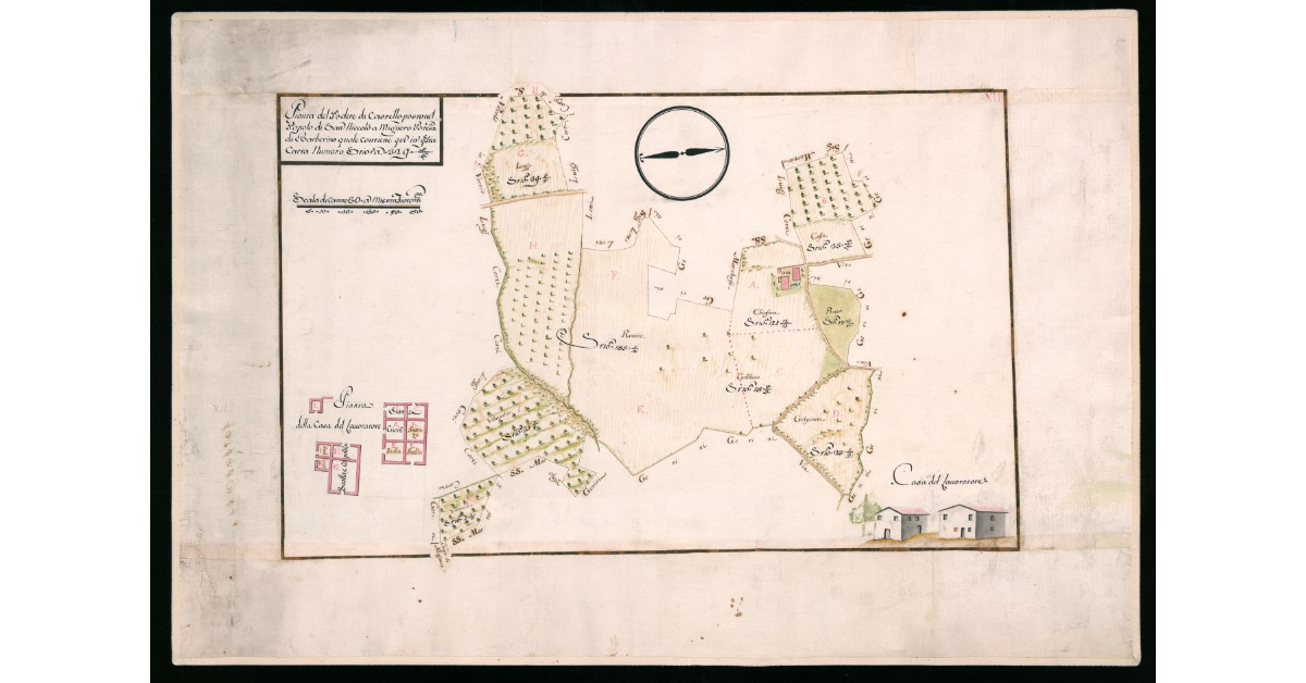 Pianta del Podere di Castello posto nel Popolo di S.Niccolò a Migneto Potesteria di Barberino