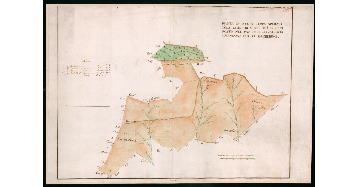 Pianta di diverse terre spezzate della Compagnia di S.Niccolò di Bari posto nel Popolo di S. Margherita a Mangona Potesteria di Barberino