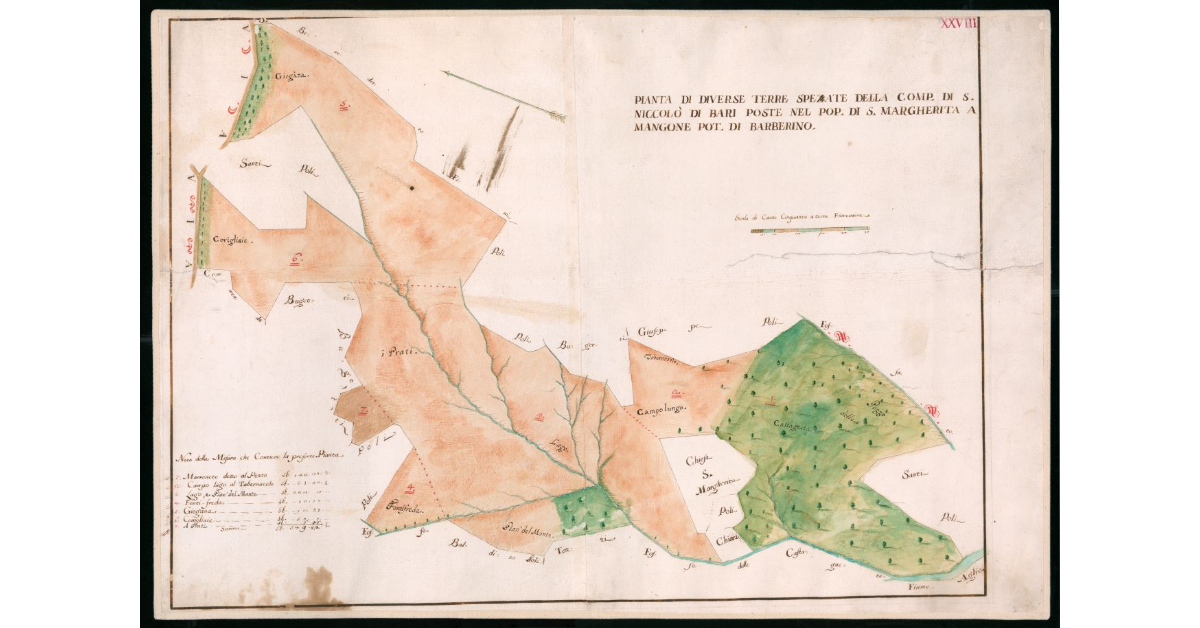 Pianta di diverse terre spezzate della Compagnia di S.Niccolò di Bari posto nel Popolo di S.Margherita a Mangona Potesteria di Barberino