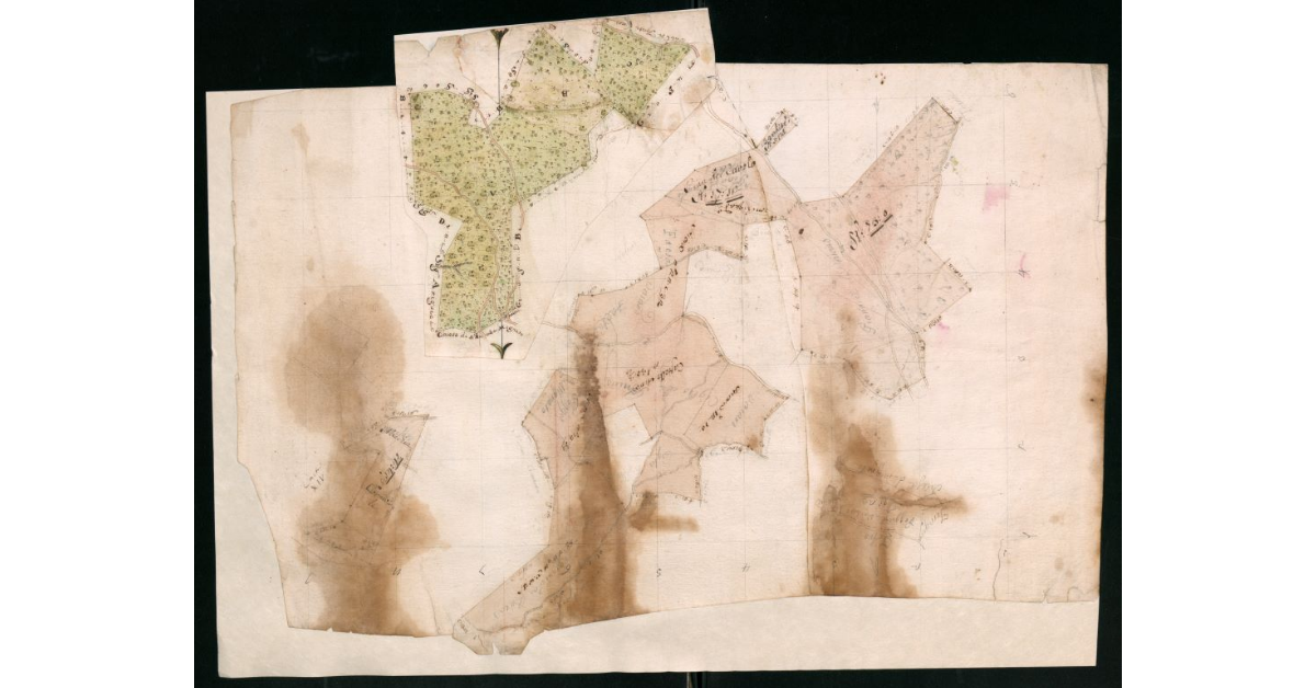 [Appezzamenti di terreno coltivato e boschivo nel territorio di Migneto in Mugello]