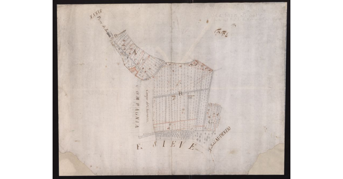 Pianta del Podere Scaffaia di Sotto nel Popolo di S.Maria a Dicomano