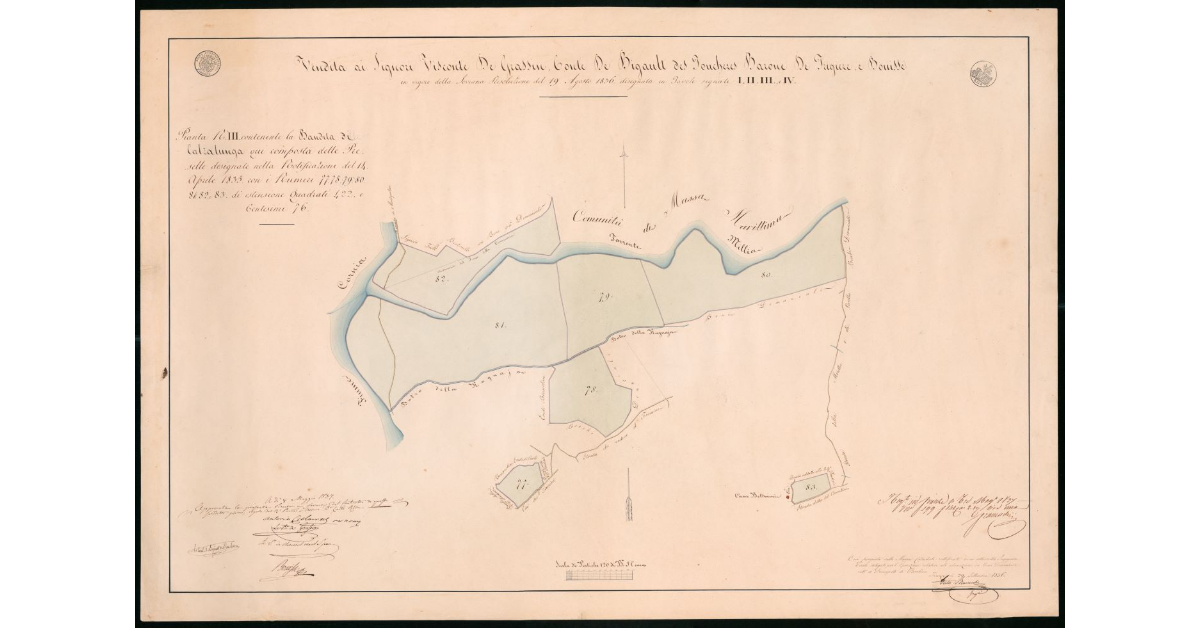 Pianta n.III contenete la Bandita di Calzalunga qui composta delle Preselle designate nella Notificazione del 14 aprile 1835 con i numeri 77, 78, 79, 80, 81, 82, 83 di estensione Quadrati 422 e Centesimi 76