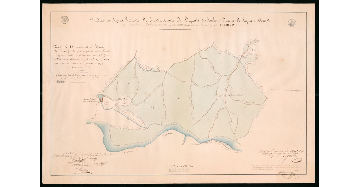 Pianta n.VI contenete la Bandita di Montepeloso qui composta delle Preselle designate nella Notificazione del 14 aprile 1835 con i numeri 84, 85, 86, 87, 88, 89, 90, 91, 92 di estensione Quadrati 978 e Centesimi 75 e contenente inoltre il Molino, i Vecchi Forni e le Terre di Cornia di estensione Quadrati 4 e Centesimi 53 già appartenenti alla R.Amministrazione della Magona