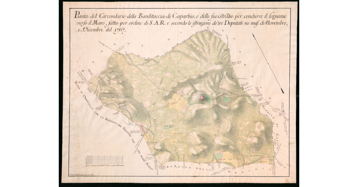 Pianta del Circondario della Bandita di Capalbio, e delle sue strade per condurre il legname verso il mare, fatta per ordine di S.A.R. e secondo le istruzioni de' tre Deputati nei mesi di Novembre e Dicembre 1767