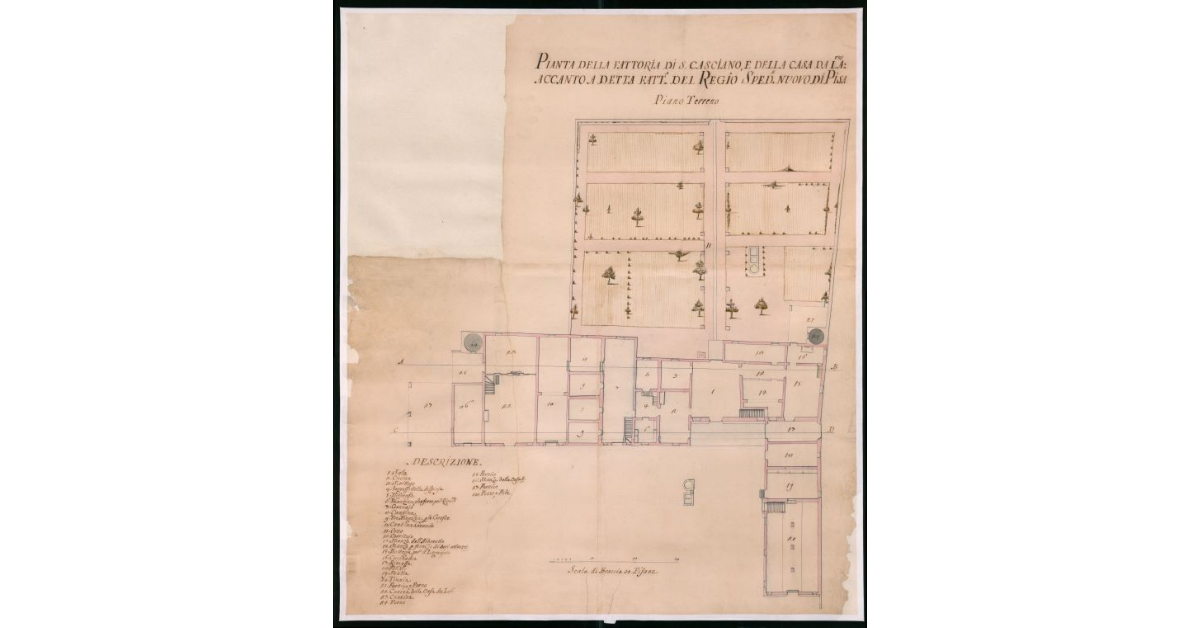 Pianta della fattoria di S.Casciano, e della Casa dei lavoratori accanto a detta Fattoria del Regio Spedale Nuovo di Pisa