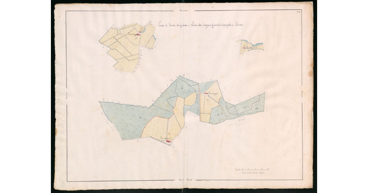 Pianta dei terreni che formano i poderi detti Campaja, Guerciola, Campiglia e Tecione, facenti parte dell'Imperiale Fattoria del Castellare