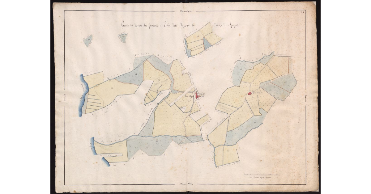 Pianta dei terreni che formano i poderi detti Terzana, La Fonte e Terre Spezzate, facenti parte dell'Imperiale Fattoria del Castellare
