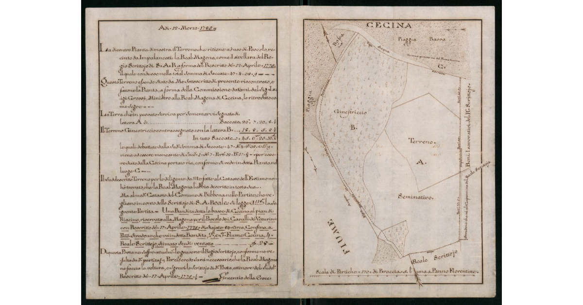 [Mappa di terreni lungo il fiume Cecina]