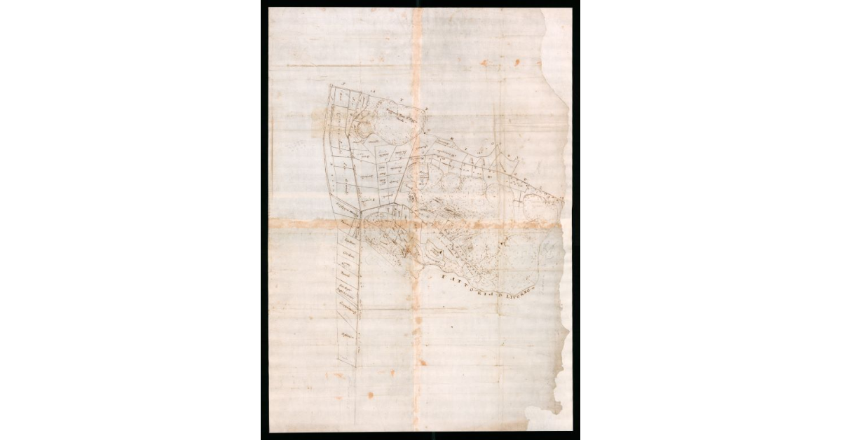 [Disegno schematico di terreni coltivati, prativi e palustri compresi nella fattoria di Colle Salvetti]