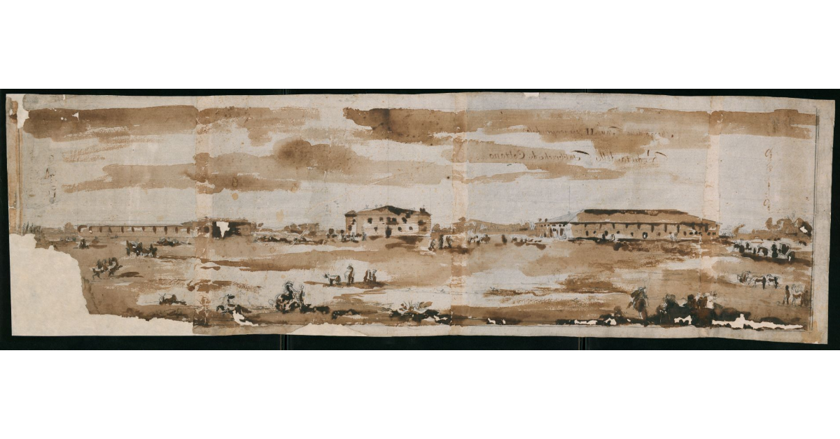 [Veduta delle Fabbriche di Coltano]