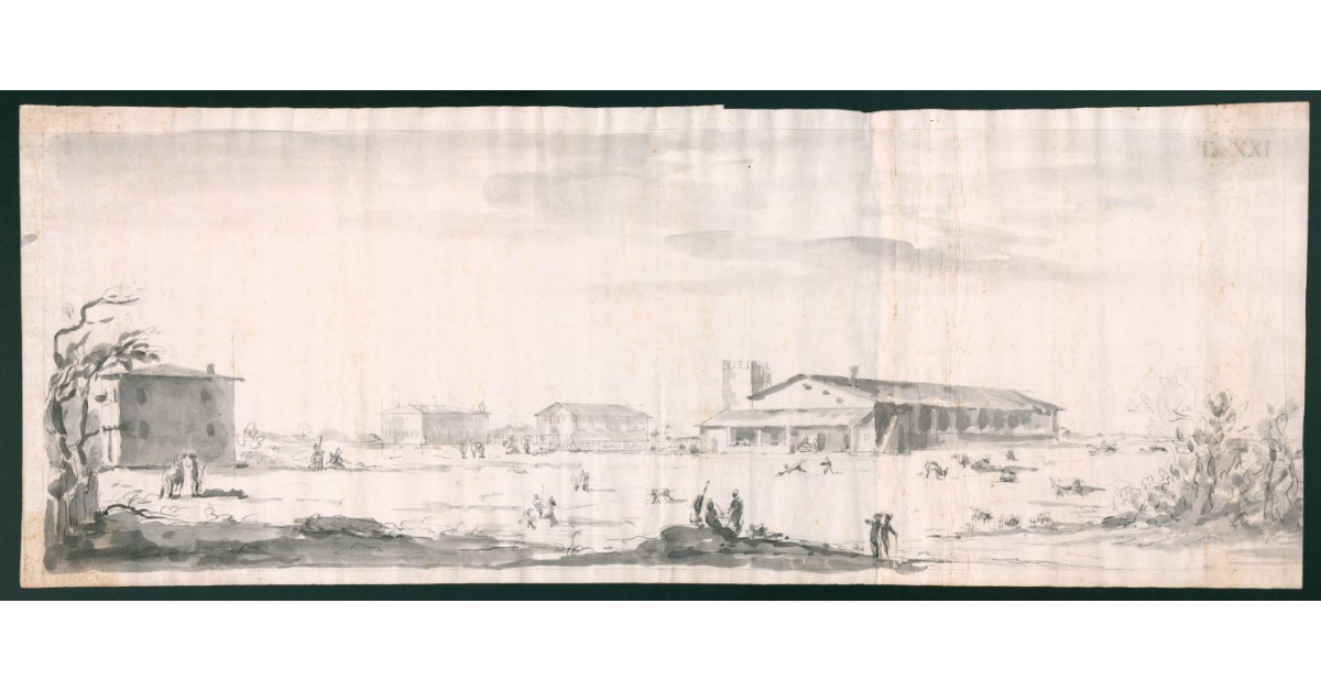 [Veduta dei fabbricati d'agenzia della tenuta di Coltano]