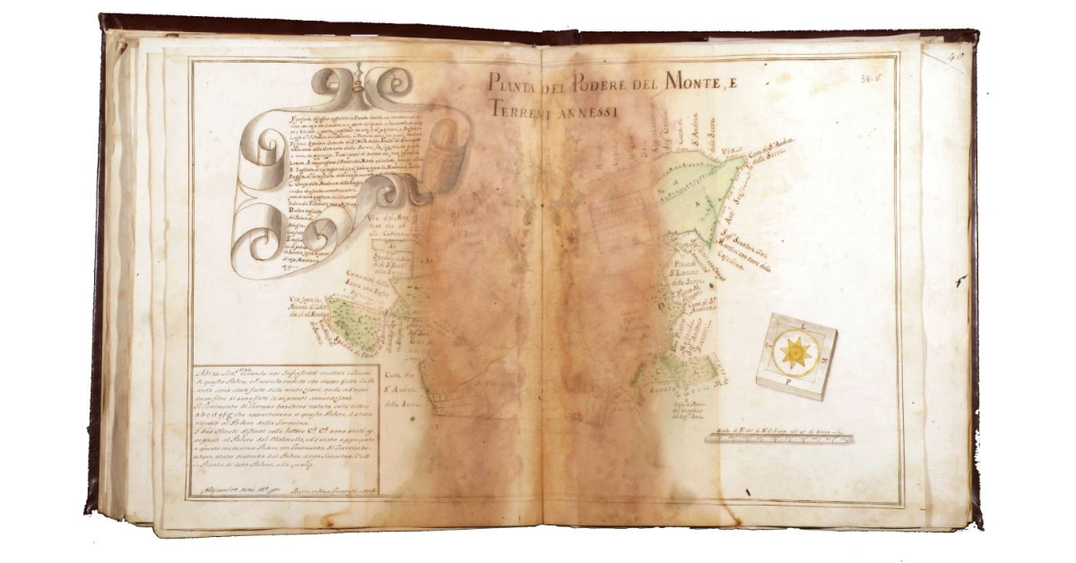 Pianta del podere del Monte e terreni annessi