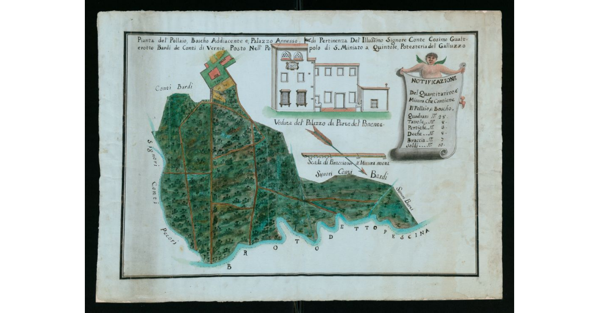Pianta del pollaio, boscho addiacente e Palazzo annesso, di pertinenza del'Illustrissimo Signore Conte Cosimo Gualterotto Bardi de Conti di Vernio posto nell'popolo di S.Miniato a Quintole, Potesteria del Galluzzo
