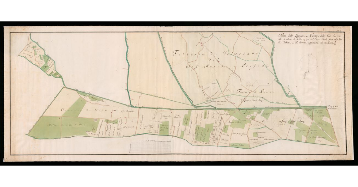 Pianta dello Zannone e Girotta, della Via che va allo Stradone di Gello in giù, del Fosso Reale fino alla Via di Collina, e de terreni aggiacenti al medesimo