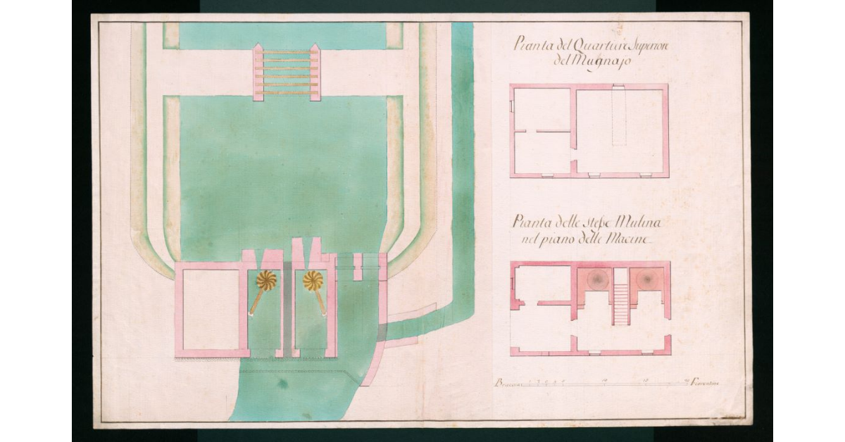 [Planimetrie del nuovo mulino di Grosseto]