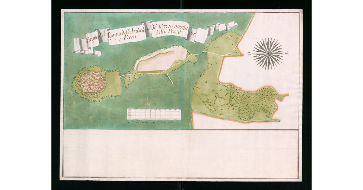 Pianta del Poggio della Badiola e de' terreni annessi per i Fieni della Pesca