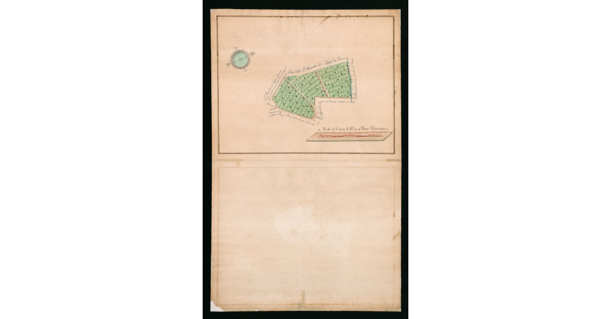 [Mappa di un pezzo di terra e colture promiscue compreso tra la via che dalla strada Fiorentina va al Bigallo e il Fosso del Bigallo]