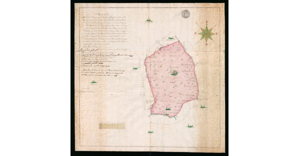 Pianta. del Circondario del Feudo di Magliano posto nelle Maremme di Siena, goduto da Sua Eccellenza il Sig. Marchese D. Carlo Guido Bentivoglio d'Aragona, Grande di Spagna, ecc. come Feudatario di Sua Altezza Gran Duca di Toscana i confini del qual Feudo coi Territori vicini di Manciano, Pereta e Monteano sono stati riconosciuti da vari infrascritti Periti d'ordine di Sua Eccellenza la Sig.ra Marchesa Donna Elena Grimani Bentivoglio d'Aragona Tutrice del prelodato Sig.r Marchese D.Carlo Guido, coll'intervento dei Rappresentanti delle rispettive Communità in esecuzione della lettera circolare della Segreteria delle Riformagioni delli 10 gennaio 1772