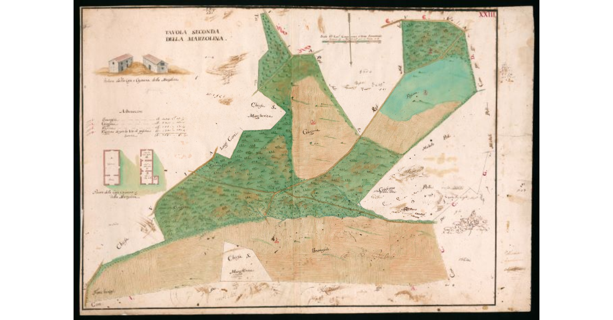 Tavola seconda della Marzolina