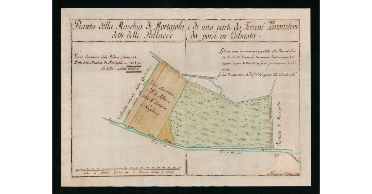 Pianta della Macchia di Mortajolo, e di una parte dei terreni lavorativi detti delle Pollacce da porsi in colmata