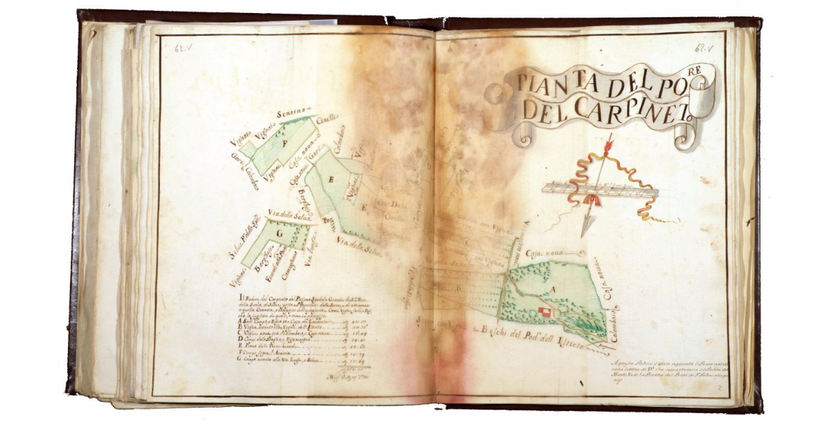 Pianta del podere del Carpineto