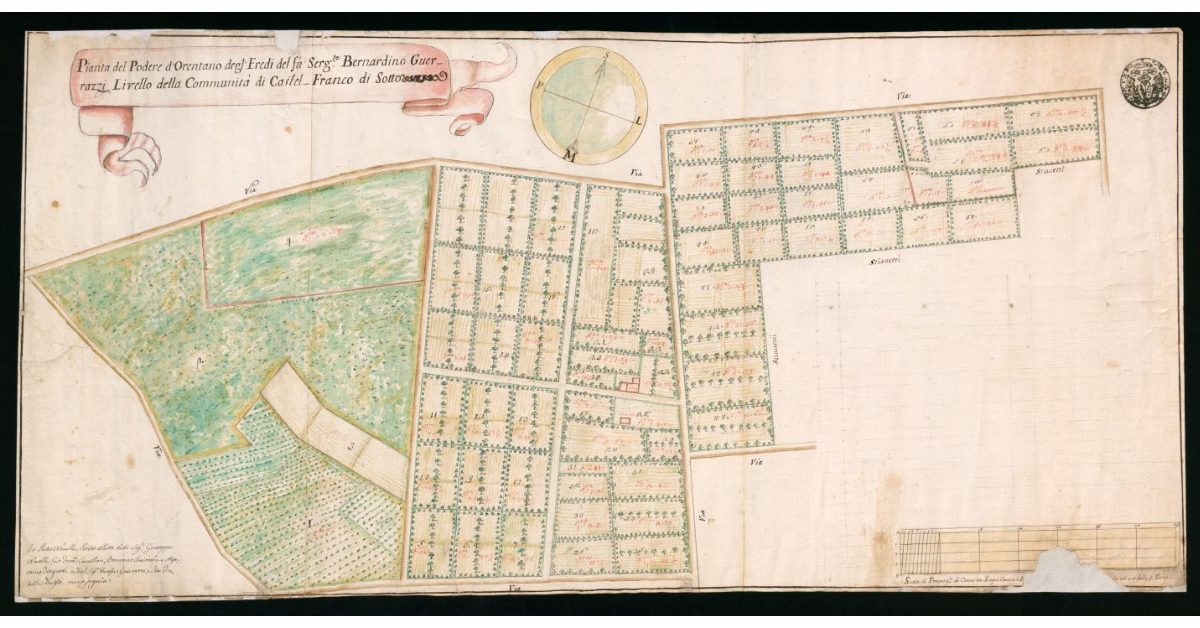 Pianta del Podere d'Orentano degli Eredi del fu Sergente Bernardino Guerrazzi, Livello della Communità di Castel Franco di Sotto