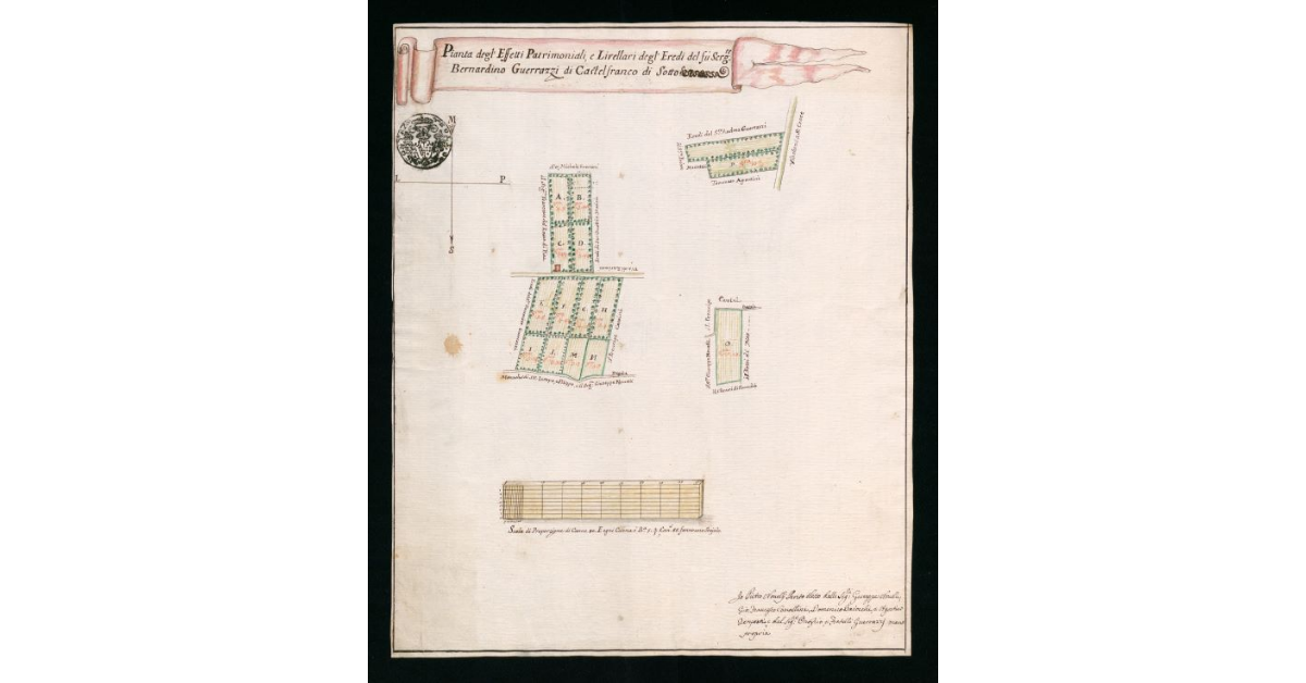 Pianta degl'Effetti patrimoniali e livellari degli Eredi del fu sergente Bernardino Guerrazzi di Castel Franco di Sotto