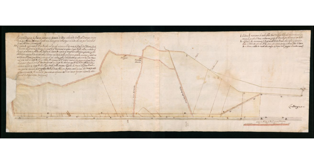 [Carta topografica dei terreni compresi tra il fosso Reale e lo scolo della Tora vecchia nella pianura livornese presso Stagno]