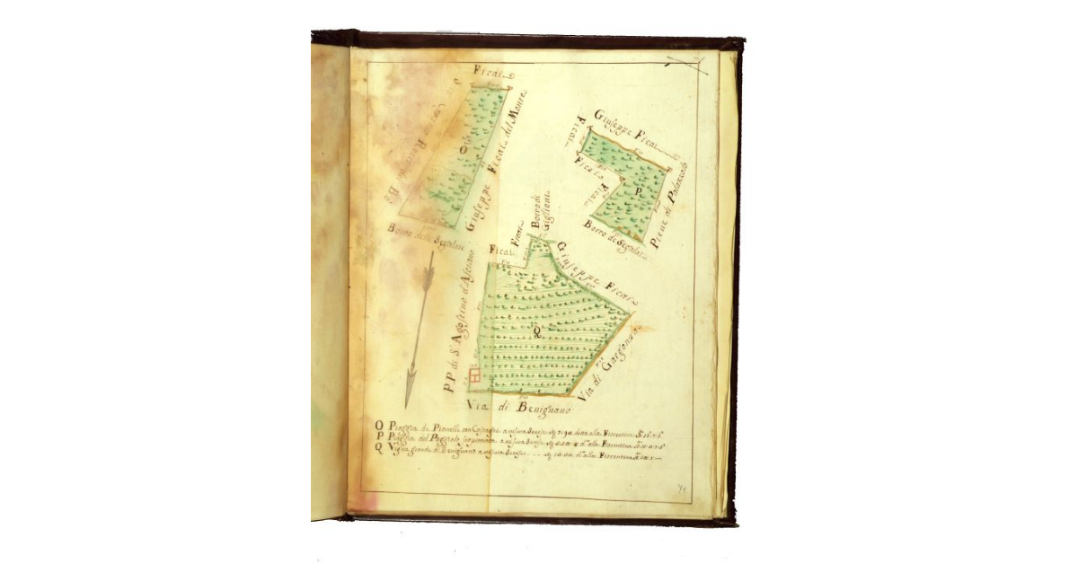 [Podere di Bevignano. Pianta di tre campi denominati piaggie e una vigna]