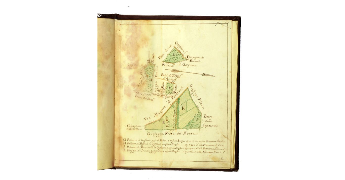 [Podere di Bevignano. Pianta di quattro appezzamenti di cui una piaggia e tre polloneti]