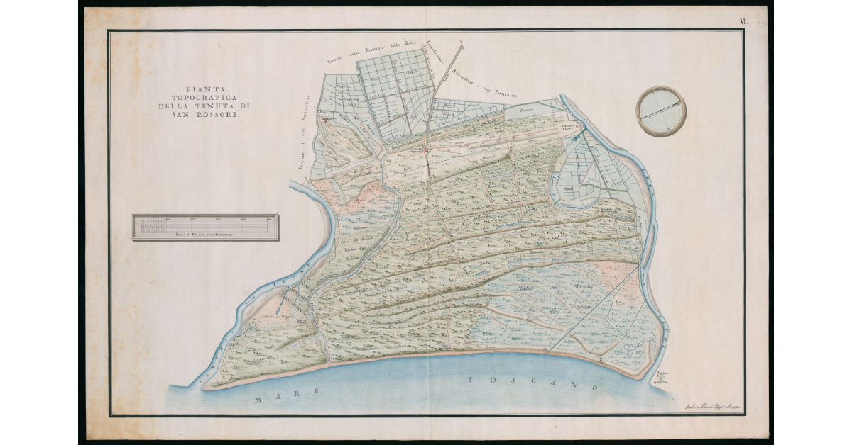 Pianta topografica della Tenuta di S. Rossore