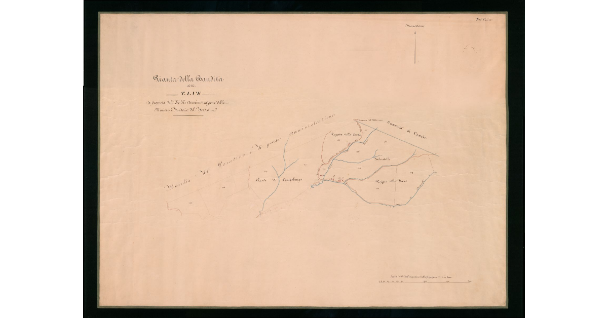 Pianta della Bandita delle Tane di proprietà e R. Amministrazione delle Miniere e Fonderie del Ferro