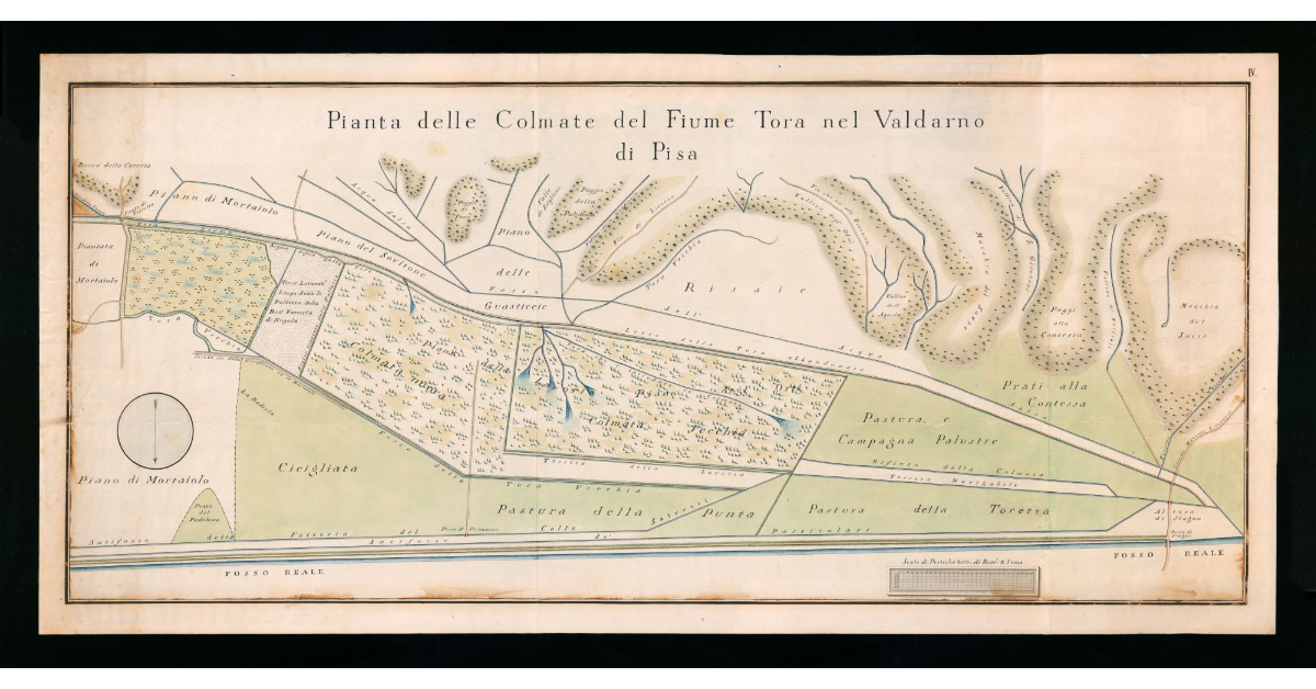 Pianta delle colmate del Fiume Tara nel Valdarno di Pisa