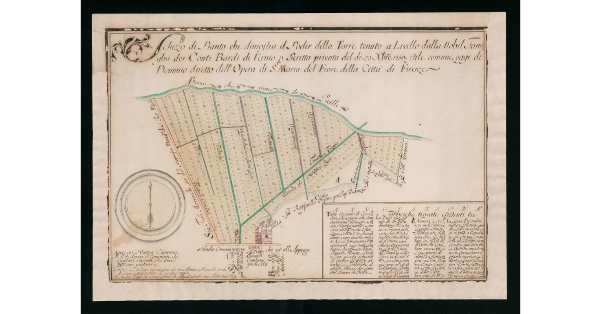 Schizzo di Pianta che dimostra il Podere della Torre tenuto a livello dalla Nobil Famiglia dei Conti Bardi di Vernio per scritta privata del di 23 Dicembre 1750 stile comune, oggi di dominio diretto dell'Opera di S. Maria del Fiore della città di Firenze